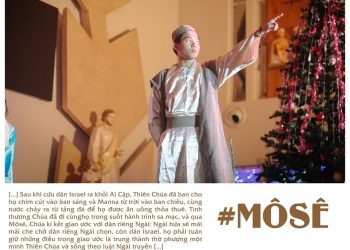 #TCLTY: Phần 2 -Tình Cha giáo dục