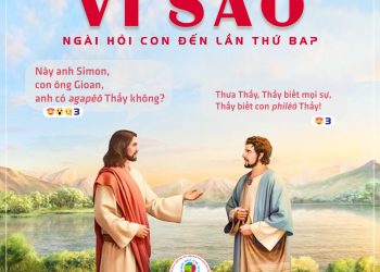 Dù được hỏi tới 3 lần, nhưng Phêrô lại chẳng hỏi “Thầy hỏi để làm gì?”