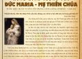 Mừng kính trọng thể Đức Maria – Mẹ Thiên Chúa