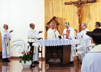 Tự sự của ĐHY GB. Phạm Minh Mẫn nhân kỷ niệm 27 năm Giám mục