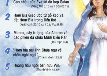 Bảy đoạn Kinh Thánh về Tín điều Đức Maria hồn xác lên Trời (15.08.2020)