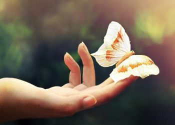 Bí quyết giữ tâm hồn thanh thản & sống hạnh phúc