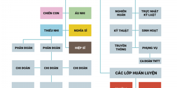 Các Ban – Ngành – Lớp Huấn Luyện