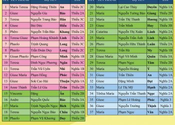 Danh sách Tông đồ Đội trưởng tuyên hứa – thăng cấp năm 2020