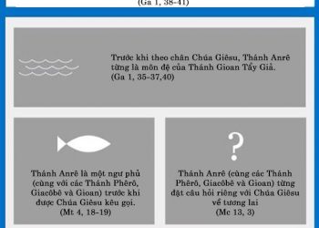 Một số thông tin nổi bật về Thánh Anrê Tông Đồ