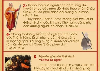 Thánh Tôma Tông Đồ (03.07)