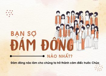 Bạn sợ đám đông nào nhất?